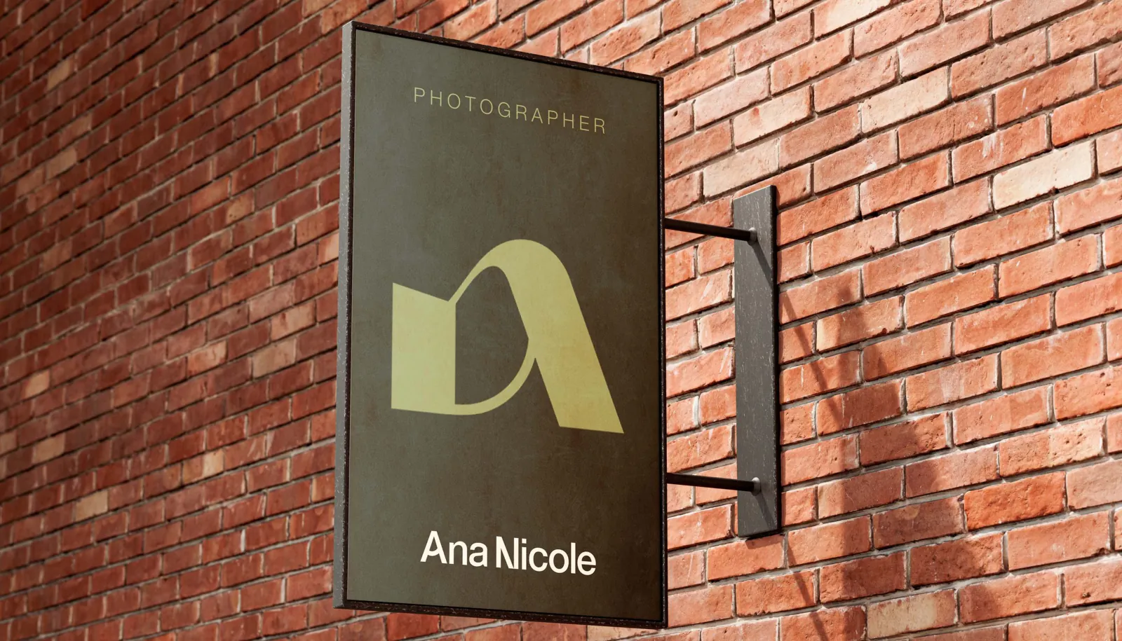 Ana Nicole: aplicación de la identidad 5